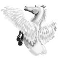 Pegasus digital art illustration isolated on white background. Legendary ancient mythological crature, fairy-tale