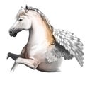 Pegasus digital art illustration isolated on white background. Legendary ancient mythological crature, fairy-tale