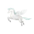 Pegasus digital clip art fly pegasus drawing poni fly horse illustration magic unicorn on white background