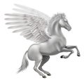 Pegasus horse