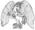 Pegasus horse