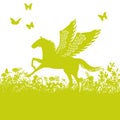 Pegasus or horse with wings