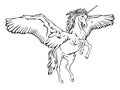 Pegasus outline vector ~