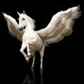 Pegasus majestic mythical Greek winged horse on a black background. Royalty Free Stock Photo