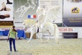 Pegasus Moscow International Horse Exhibition