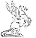 Pegasus mythological winged horse tattoo