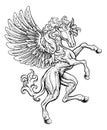 Pegasus Rearing Rampant Wings Coat Of Arms Horse