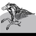 Pegasus Vector Illustration black and white Royalty Free Stock Photo