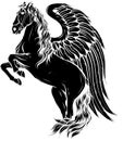 black silhouette of pegasus vector illustration - winged horse side view black and white design Royalty Free Stock Photo