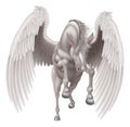 Pegasus Winged Horse Royalty Free Stock Photo