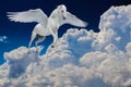 Pegasus winged legendary white horse flying with spread wings in cloudy sky Royalty Free Stock Photo