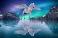 Pegasus winged legendary white horse flying with spread wings dreamy landscape Royalty Free Stock Photo