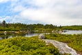 Peggy Cove preservation area