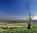 Pegston hills Royalty Free Stock Photo