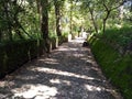 Peguche`s Stone walkway