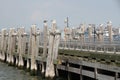 Peir with Gulls Royalty Free Stock Photo