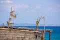 Peix sec is wind dried fish typical from Balearic Islands Royalty Free Stock Photo