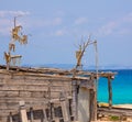 Peix sec is wind dried fish typical from Balearic Islands Royalty Free Stock Photo