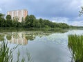 The Pekhorka River on a summer evening. Moscow oblast. Balashikha city