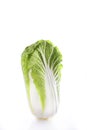 Peking or Chinese cabbage on a white background. Vertical photo. An isolated object. Copy of the space Royalty Free Stock Photo