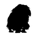 Pekingese Dog Canis Lupus Standing On a Front View Silhouette Found In Map Of Asia. Good To Use For Element Print Book