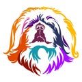 Abstract portrait of a Pekingese dog color contour illustration Royalty Free Stock Photo