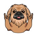 Pekingese dog. Rock gesture. Horns. Dog portrait. Pekingese breed. Vector.