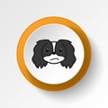 pekingese, emoji, confused multicolored button icon. Signs and symbols icon can be used for web, logo, mobile app, UI, UX