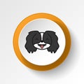 pekingese, emoji, stuck out tongue, closed eyes multicolored button icon. Signs and symbols icon can be used for web, logo, mobile