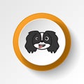 pekingese, emoji, stuck out tongue, winking eyes multicolored button icon. Signs and symbols icon can be used for web, logo,