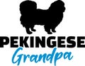 Pekingese Grandpa with silhouette