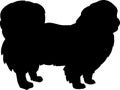 Pekingese silhouette