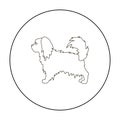 Pekingese vector icon in outline style for web