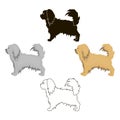 Pekingese vector icon in cartoon,black style for web