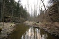 Peklo, Czechia - March 26, 2022: Robecsky potok creek in spring