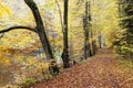 Peklo Valley in autumn, Czech Republic