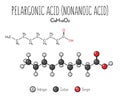 Pelargonic Acid Skeletal Structure and Flat Model Representation Royalty Free Stock Photo