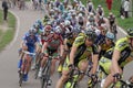 Pelaton cyclists during the race five rings of Moscow in Krylatskoe.