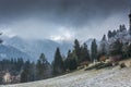 Peles castle Royalty Free Stock Photo