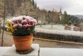 Peles Castle winter landscape Royalty Free Stock Photo