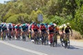 The Peleton on the final stage of Stage 3 of the Tour Down Under Royalty Free Stock Photo