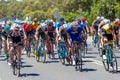 The Peleton on the final stage of Stage 3 of the Tour Down Under Royalty Free Stock Photo