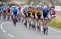 The Peleton going up Buller Hill at Tour de Britain 2021