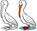 Pelican Royalty Free Stock Photo