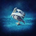 Pelican bathe in the rain Royalty Free Stock Photo