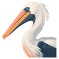 pelican beak curves on branch Royalty Free Stock Photo