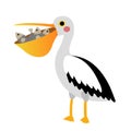 Pelican bird with fish in mouth animal cartoon character vector illustration