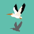 Pelican bird vector illustration Flat