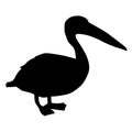 Pelican. Black silhouette Royalty Free Stock Photo