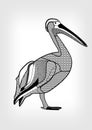 Pelican, black and white drawing of water bird with hatched and patterned body parts. animal on gray gradient background. Royalty Free Stock Photo